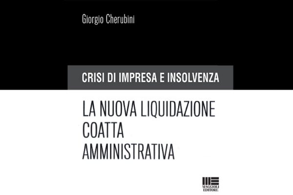 Book preview: “Business crisis and insolvency. The new administrative compulsory liquidation.”