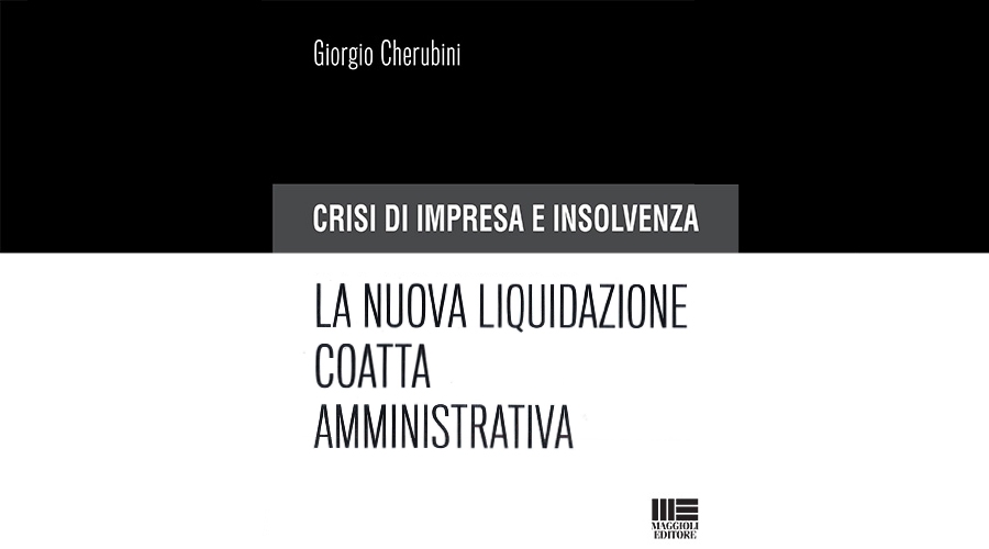 Book preview: “Business crisis and insolvency. The new administrative compulsory liquidation.”
